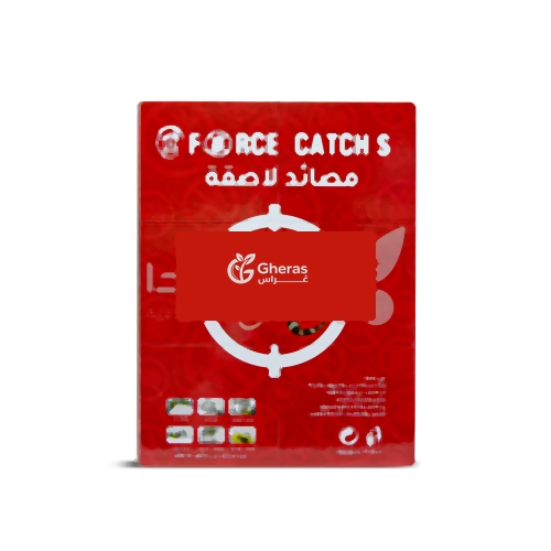 dd08f577-4311-4f6c-b884-ddc47c9db02e-500x500-3tyrAL5QQo0DcVDXWNYLFZzUyO3G394BdHVC3Ogc.png مصيدة لاصقة فورس كاتش ( دفتر أحمر ) لمكافحة الفئران والجرذان - الصورة 1