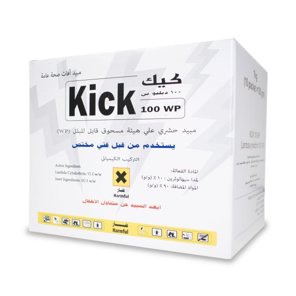 كيك 100 دبليو بي 1 كيلو